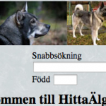 Nya jyckedata! Nya jyckedata!
