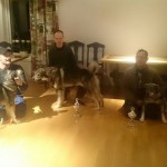 Resultat UM2015 Resultat UM2015